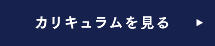 カリキュラムを見る